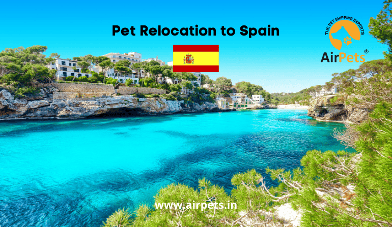 Pet Relocation to Spain