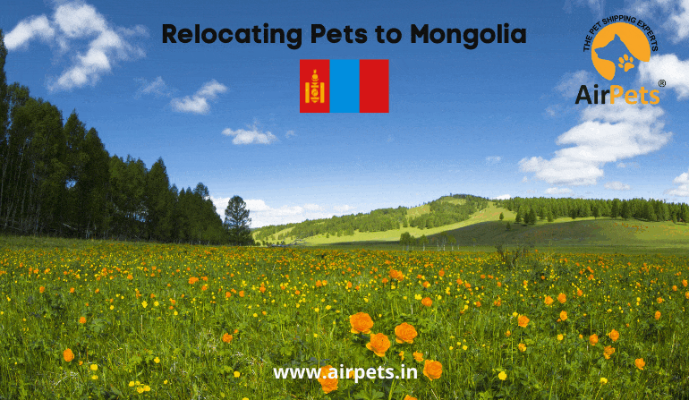 Relocating Pets to Mongolia