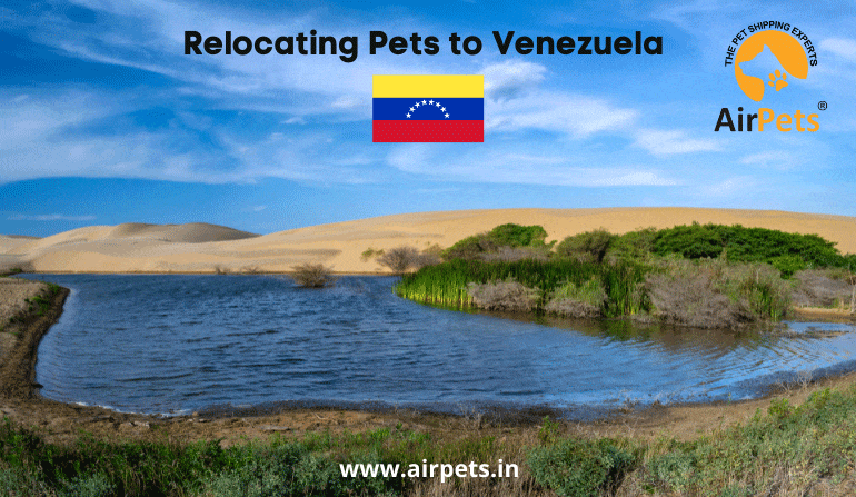 Relocating Pets to Venezuela