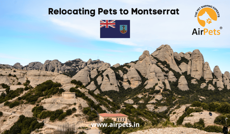 Relocating Pets to Montserrat