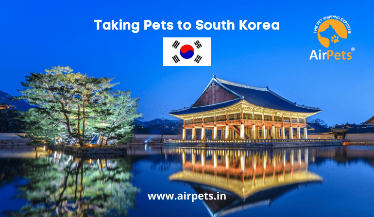 Taking Pets to South Korea