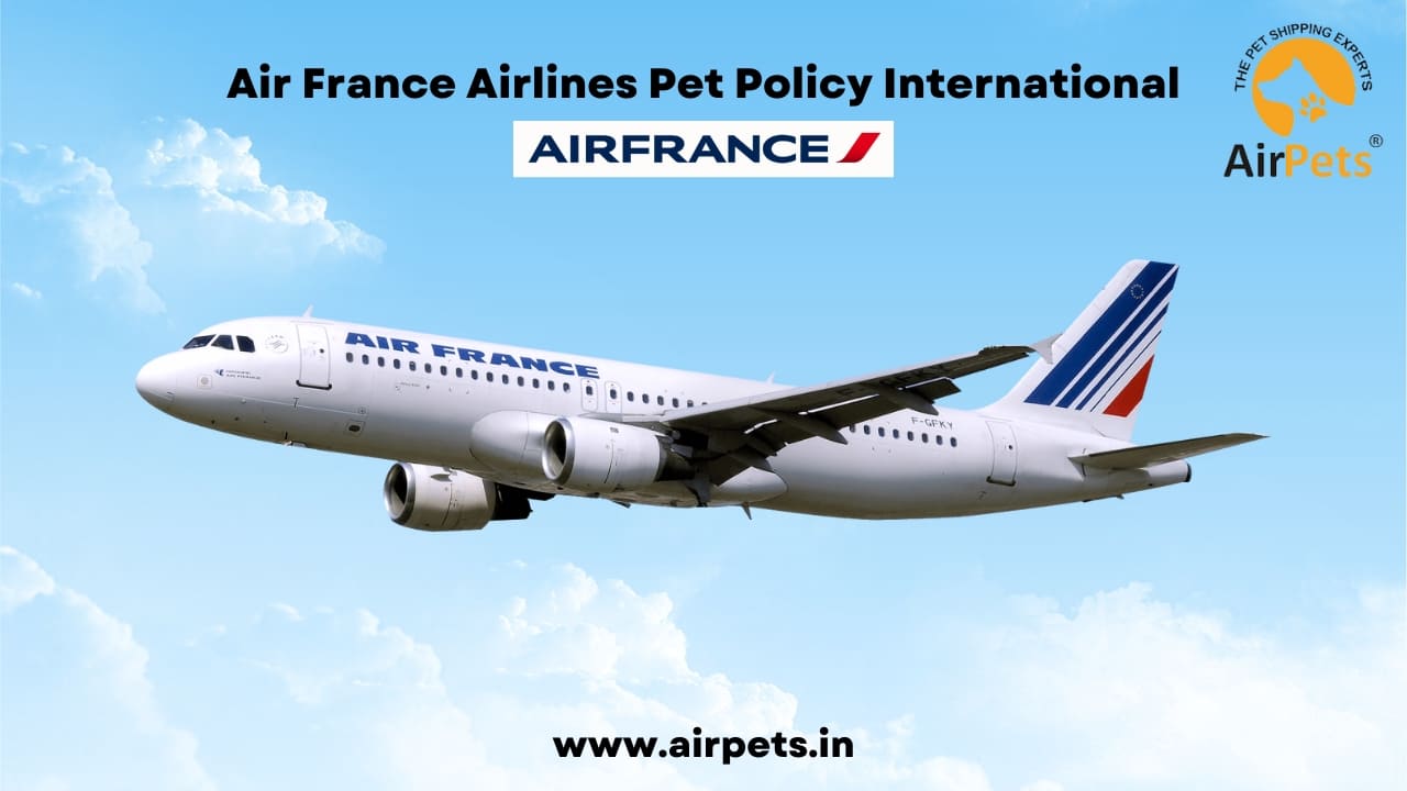 Air France Airlines Pet Policy International