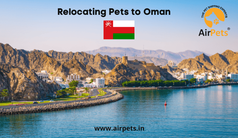 Relocating Pets to Oman