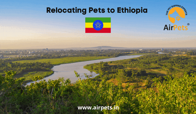 Relocating Pets to Ethiopia