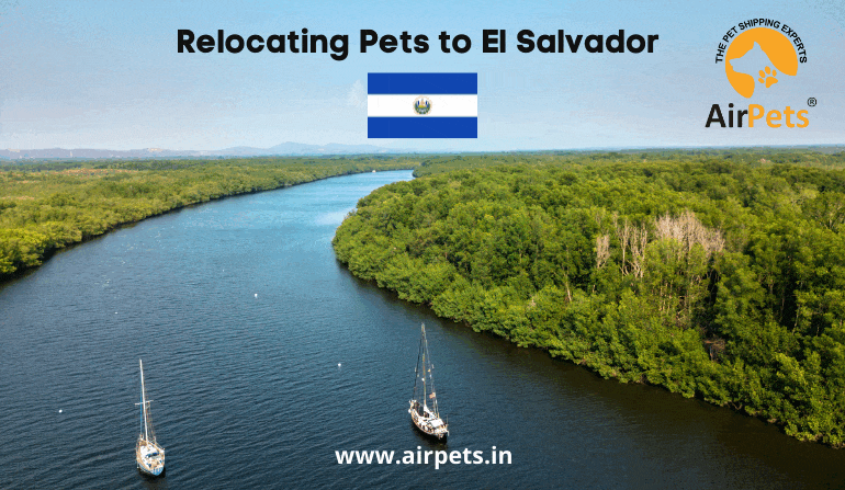 Relocating Pets to El Salvador