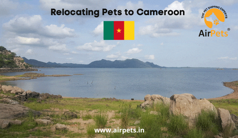 Relocating Pets to Cameroon