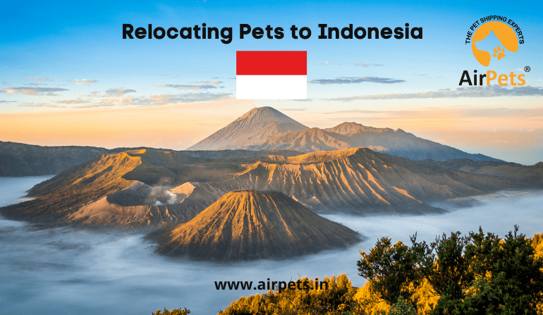 Relocating Pets to Indonesia
