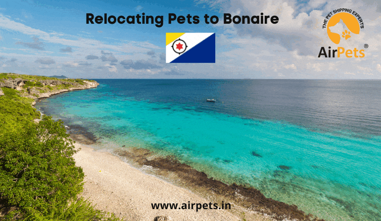 Relocating Pets to Bonaire