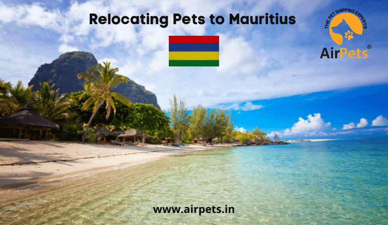 Relocating Pets to Mauritius 