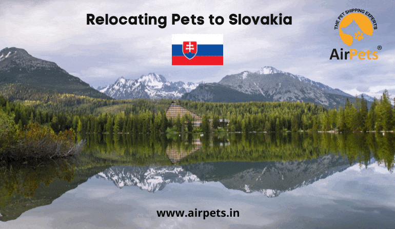 Relocating Pets to Slovakia
