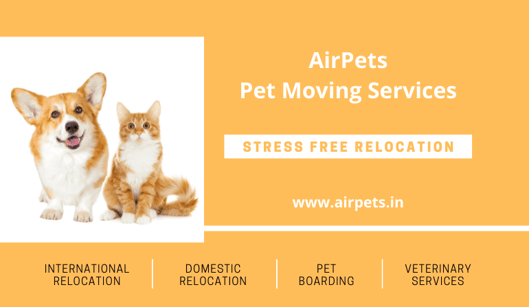 Pet Moving Services