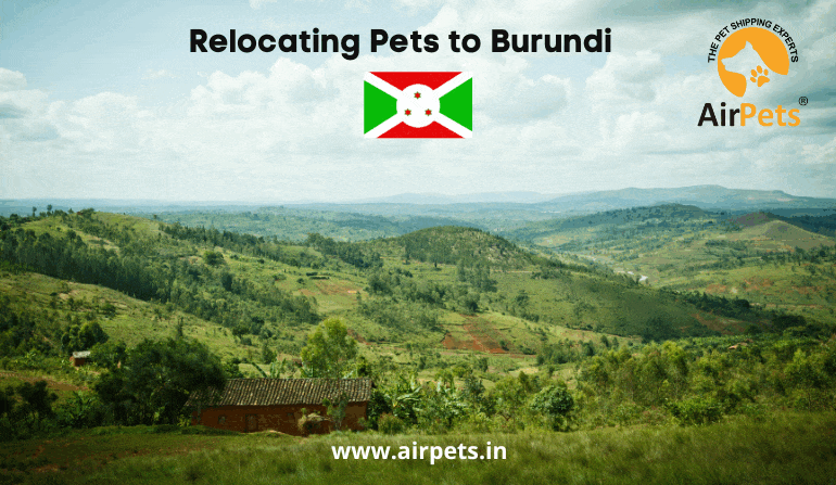 Relocating Pets to Burundi
