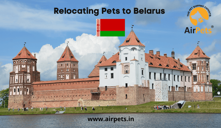 Relocating Pets to Belarus