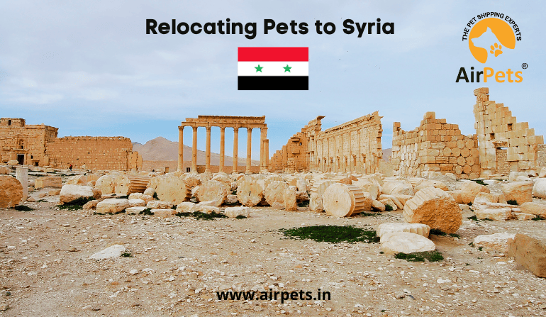 Relocating Pets to Syria
