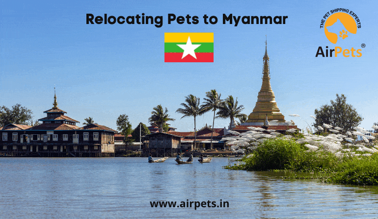 Relocating Pets to Myanmar 