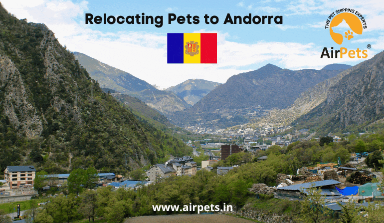 Relocating Pets to Andorra 