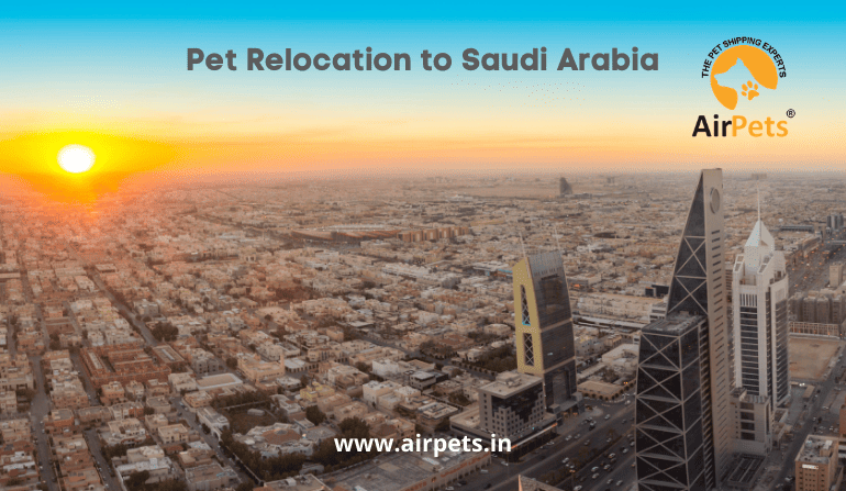 Pet Relocation to Saudi Arabia