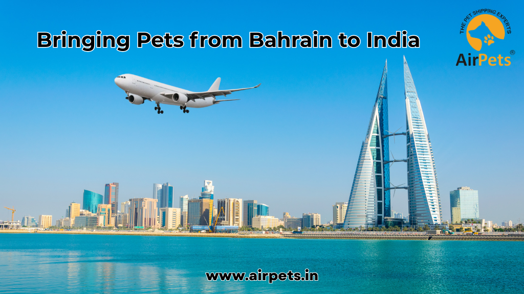 Bringing Pets from Bahrain to India