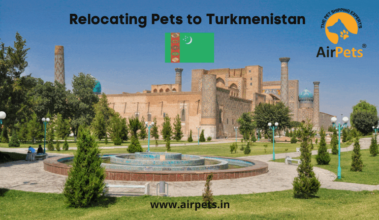 Relocating Pets to Turkmenistan