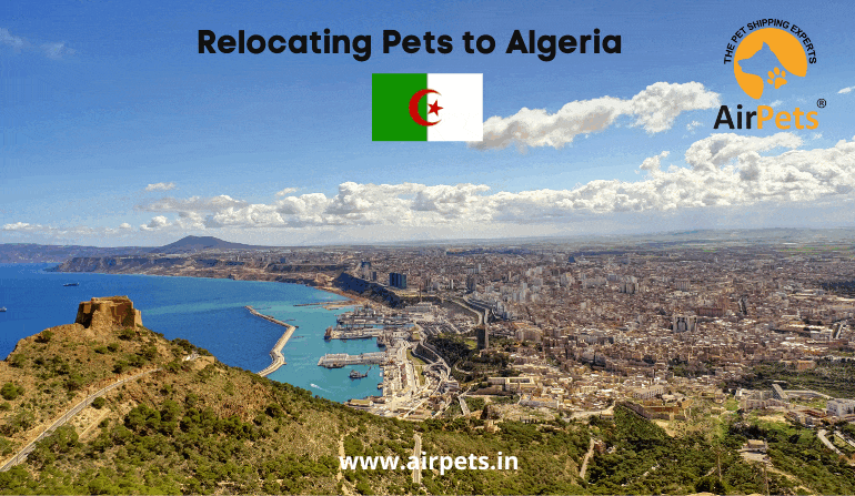 Relocating Pets to Algeria