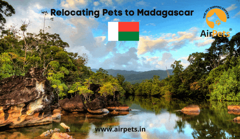 Relocating Pets to Madagascar