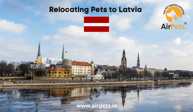 Relocating Pets to Latvia