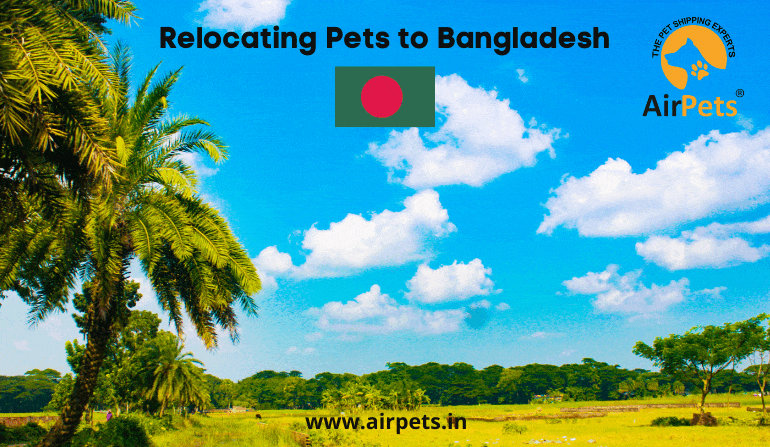 Relocating Pets to Bangladesh