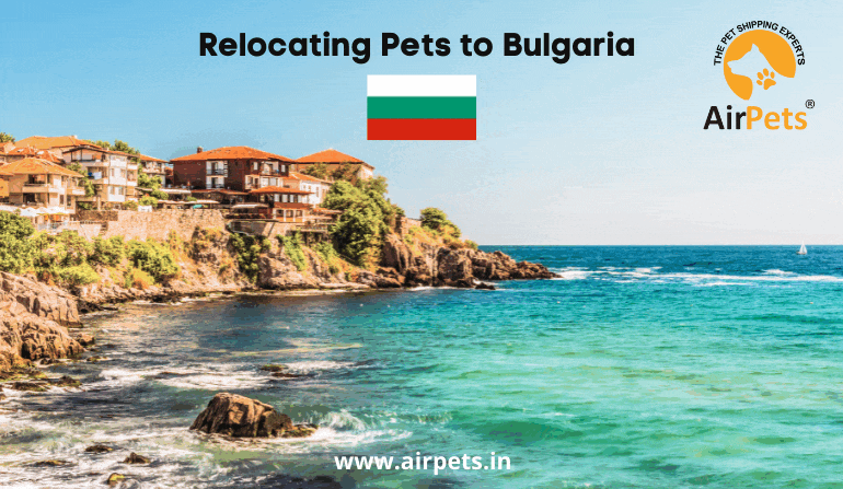 Relocating Pets to Bulgaria