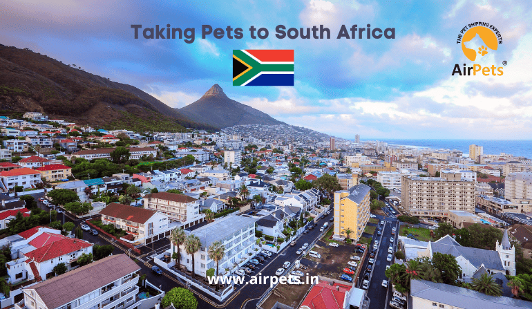 Taking Pets to South Africa