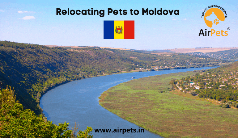 Relocating Pets to Moldova