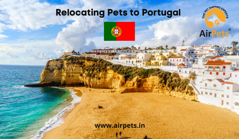 Relocating Pets to Portugal