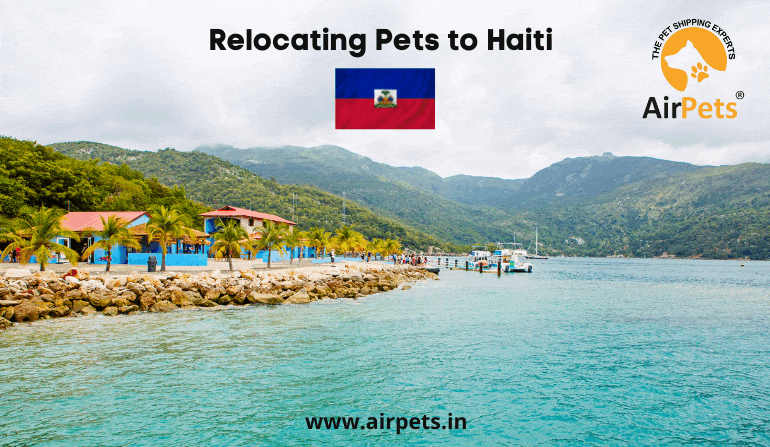 Relocating Pets to Haiti