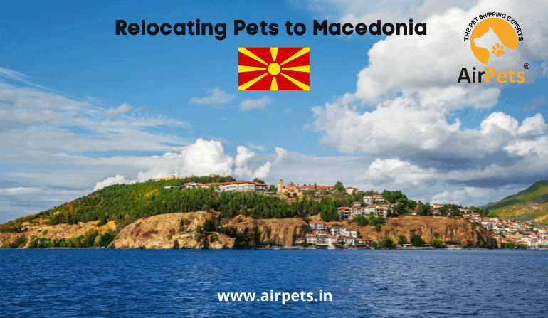 Relocating Pets to Macedonia