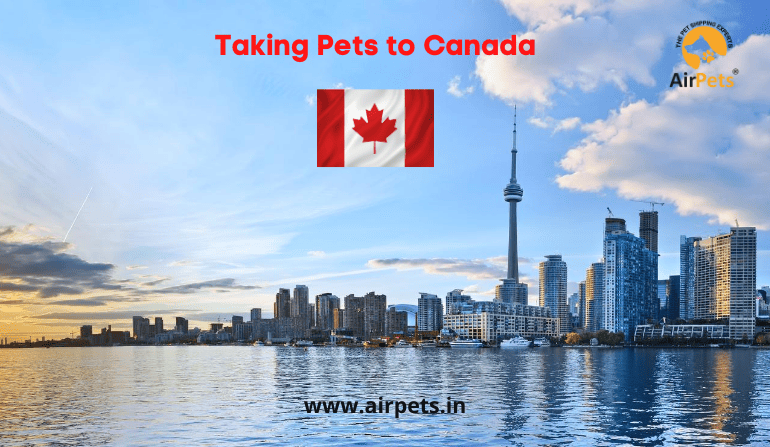 Taking Pets to Canada