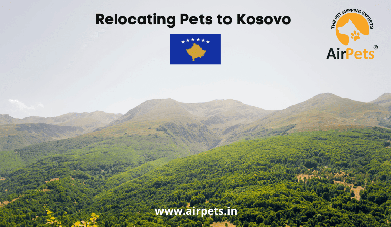 Relocating Pets to Kosovo