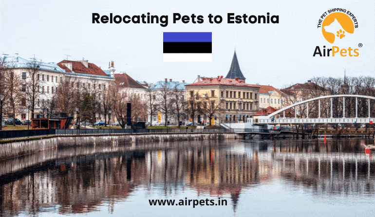 Relocating Pets to Estonia