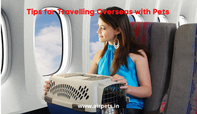 Tips for Travelling Overseas with Pets