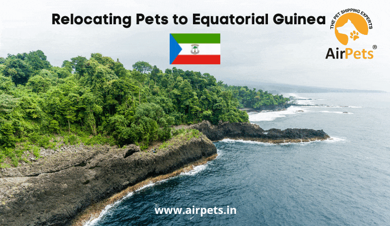 Relocating Pets to Equatorial Guinea