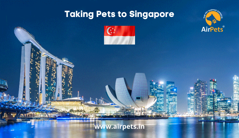 Taking Pets to Singapore