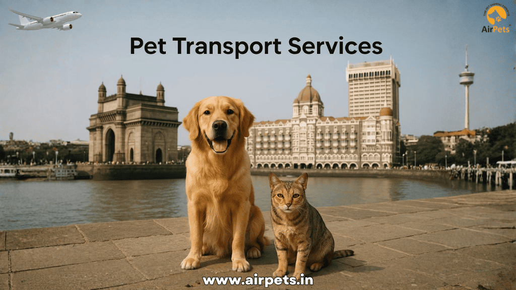 Pet Transport Services