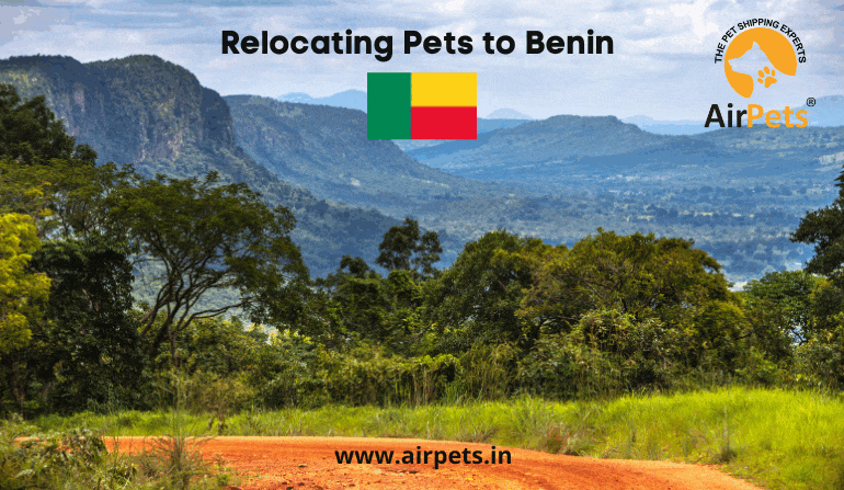 Relocating with Pets to Benin 