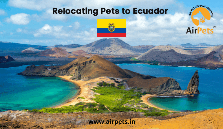 Relocating Pets to Ecuador