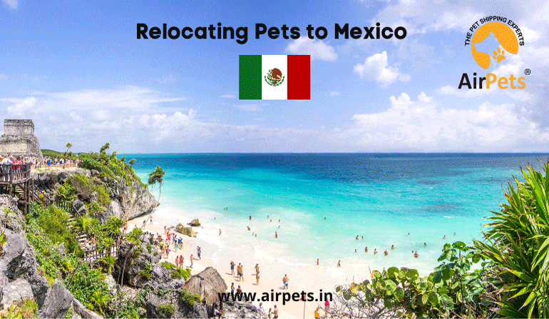 Relocating Pets to Mexico