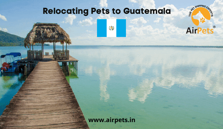 Relocating Pets to Guatemala