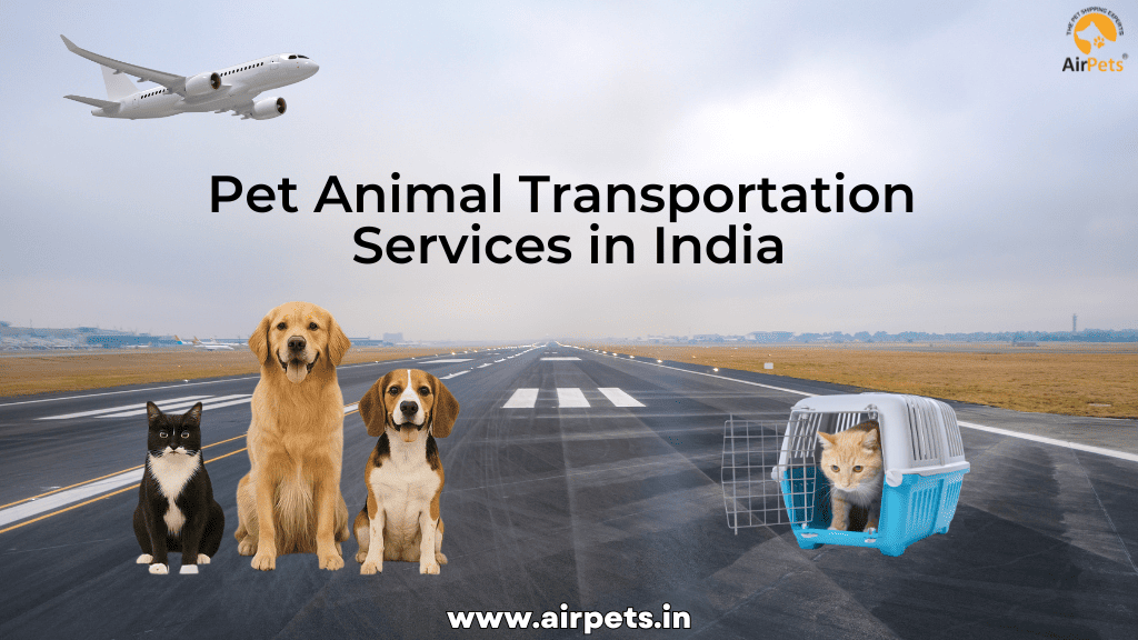 Pet Animal Transportation Services in India