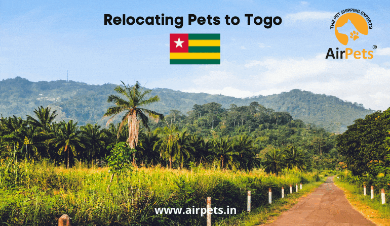 Relocating Pets to Togo