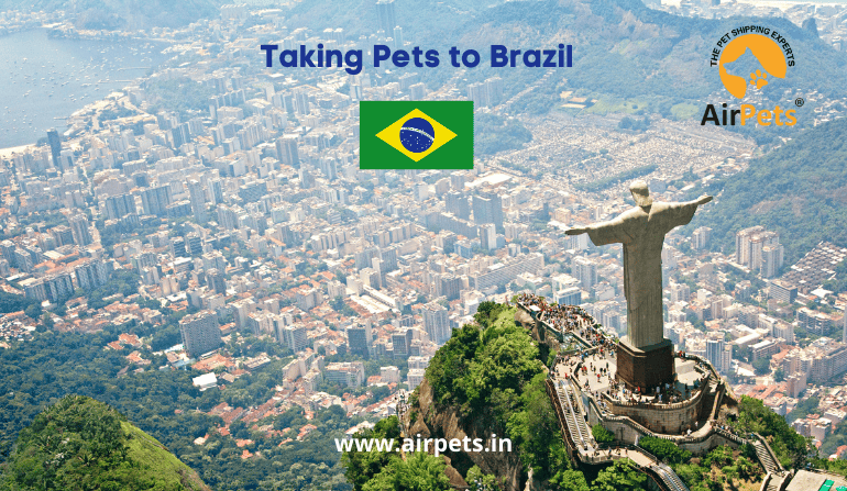 Taking Pets to Brazil
