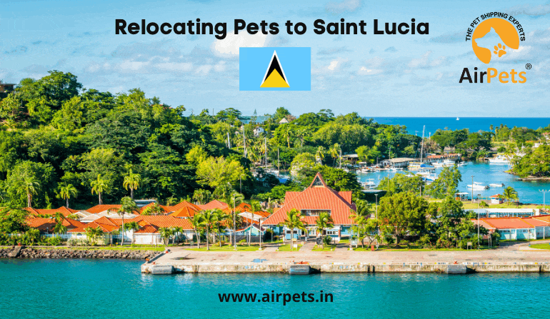 Relocating Pets to Saint Lucia