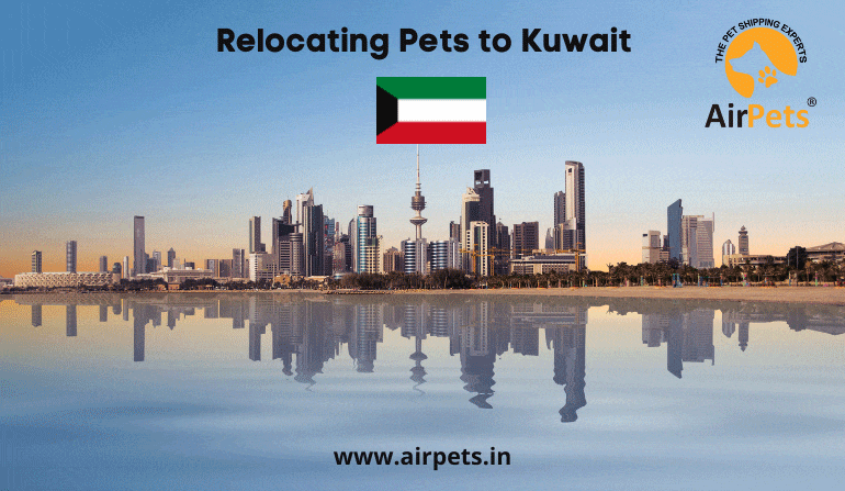 Relocating Pets to Kuwait