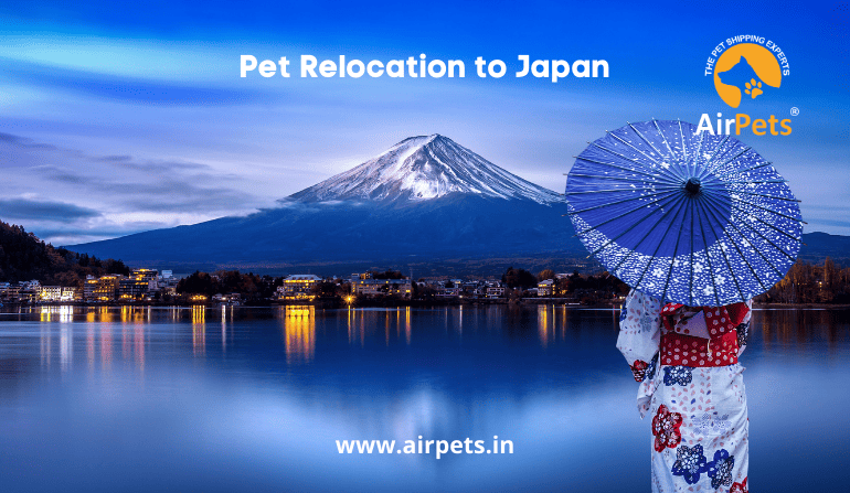 Pet Relocation to Japan